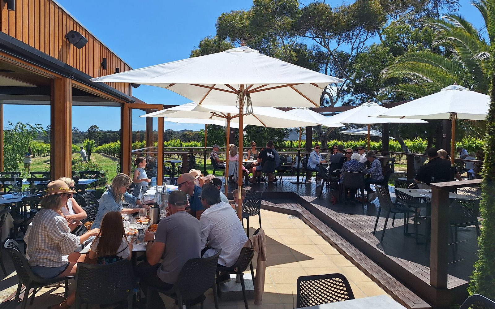 The restaurant deck over the vines